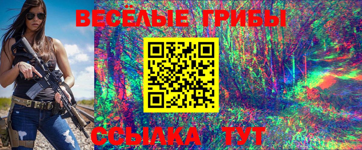 где купить   Галлюциногенные грибы мицелий  Кинель  Вход с VPN  Галлюциногенные грибы ЛСД 